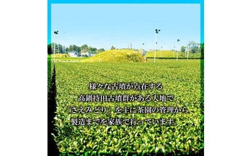 ＜上級煎茶5袋＋特上煎茶パウダー＞翌月末迄に順次出荷【c109_kn_x2】