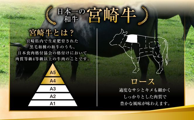 ＜特選宮崎牛ロースステーキ 1kg＋ブランドポーク100g×5枚＞2025年2月より順次出荷します【c057_hn_x4】