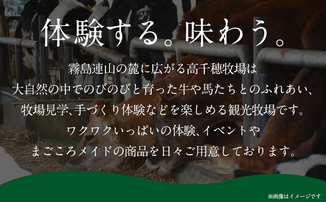 高千穂牧場乳製品セット(プリン付き)《ご入金翌月の中旬～下旬の水曜日頃出荷》_MJ-1615