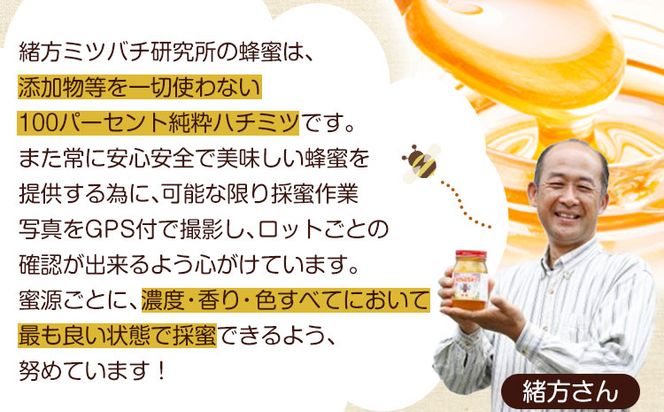 熊本県御船町産 純粋はちみつ600g 御船町観光協会《30日以内に出荷予定(土日祝日除く)》 国産 山野蜜 緒方ミツバチ研究所---mifune_imk_1_600g---