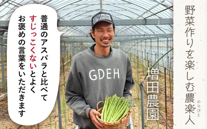 【2027年8月～発送】【生で食べられる】スイート アスパラ L～3L 約 1kg 増田農園 アスパラガス 甘い / 南島原市 / 贅沢宝庫 [SDZ015] 