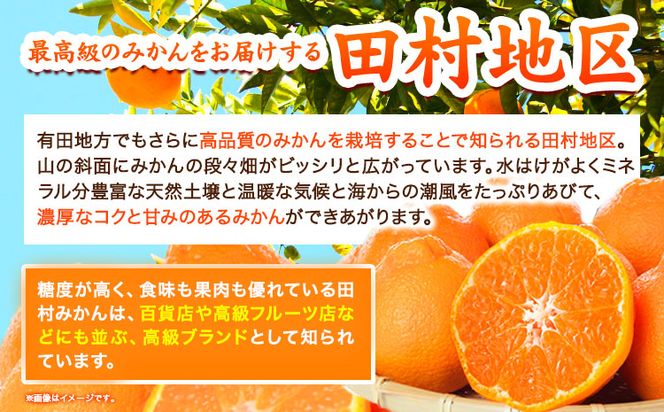 【先行予約】高級ブランド田村の完熟紀州デコ(不知火) 約4.5kg 株式会社 魚鶴商店《2026年2月下旬-3月中頃出荷》和歌山県 日高町 田村地区 不知火 柑橘 果物 フルーツ ブランド果実---wsh_uot123_2g3c_25_18000_45---
