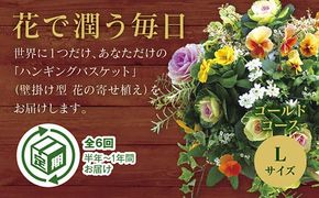 A059 「花うるるのハンギング寄せ植え定期便～ゴールドコース」【全6回】（半年～1年間お届け）