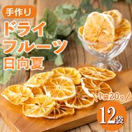 isa567 ドライフルーツ日向夏「そのまんまドライしました。」(計12袋・各20g) 【薩摩美食倶楽部】