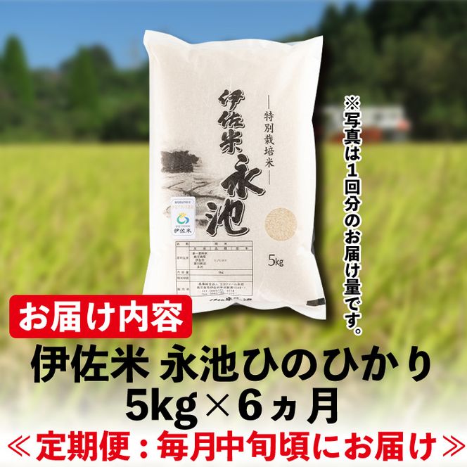 D2-04 【定期便】令和5年産 特別栽培米 伊佐米永池ひのひかり(計30kg・5kg×6ヶ月)鹿児島でも極良食味のお米が出来る永池地区で作ったお米！九州米サミット食味コンテスト最優秀賞を2回受賞【エコファーム永池】