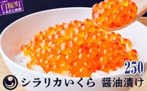 シラリカいくら（醤油味）【250g】