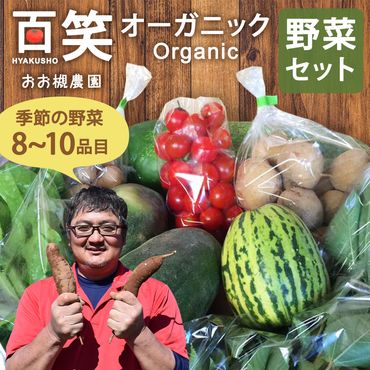 KAG-3　【6ヶ月定期便】百笑オーガニック野菜セット（8～10品目）