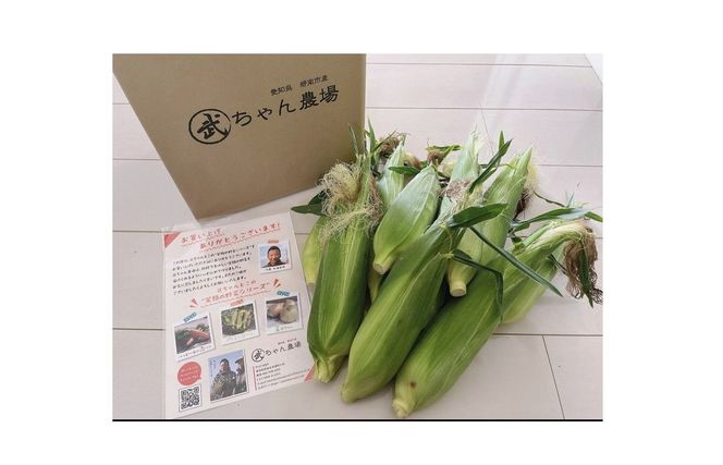 【2026年発送】朝採り直送 メロンより甘い 生とうもろこし“にっこりコーン” 7本 H095-027