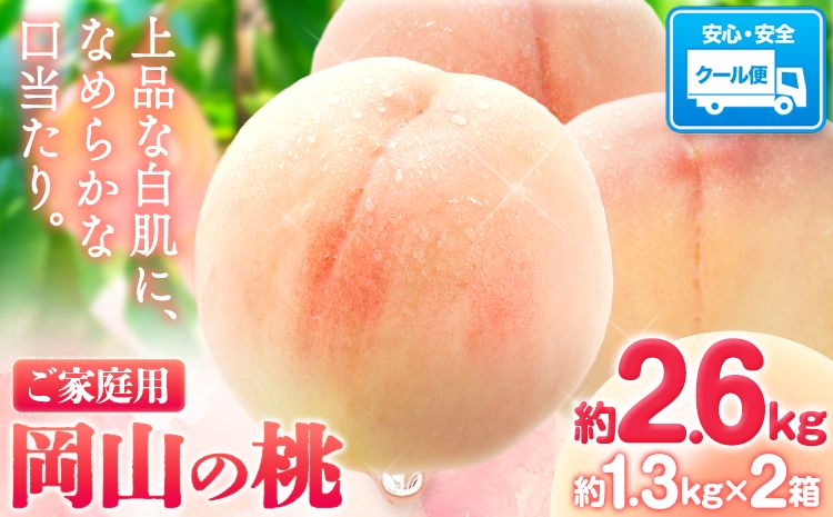 [令和7年度出荷 先行予約]桃 岡山の桃 約2.6kg(約1.3kg×2箱)[2025年6月下旬-9月上旬頃出荷] ご家庭用 訳あり 白桃 岡山 はくとう スイーツ フルーツ 果物 デザート 旬 モモ もも 先行予約 送料無料 果物 岡山県 笠岡市 清水白桃 白鳳 白麗 クール便---kasaoka_zsy_2_26---