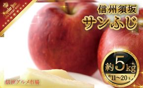 サンふじ約5kg（約11～20玉）秀品《信州グルメ市場》■2024年～2025年発送■※11月中旬頃～1月下旬頃まで順次発送予定