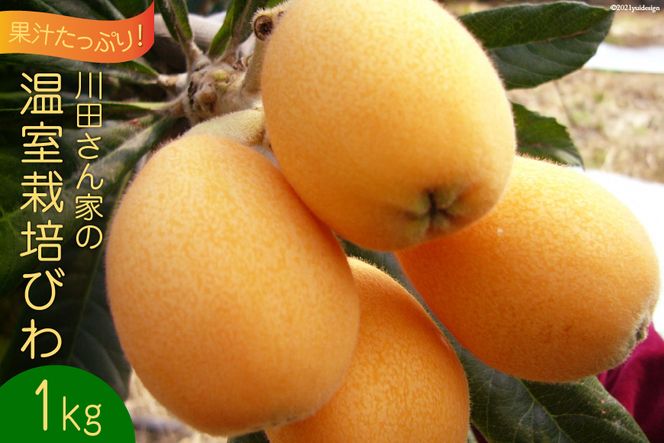 y茧szAF221yߘa8Nxoוzʏ`ՂIcƂ͔̉|т 1kg [т r t[c ʕ 茧 s]