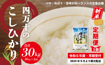 R6-150．【令和6年産新米・早期受付・3回定期便】四万十のこしひかり10kg×3回（合計30kg）【2024年9月より順次配送】