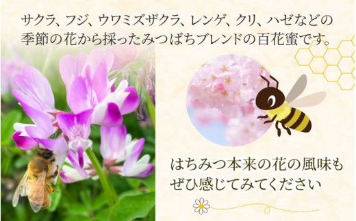 生はちみつ 180g×2本 【ビン】