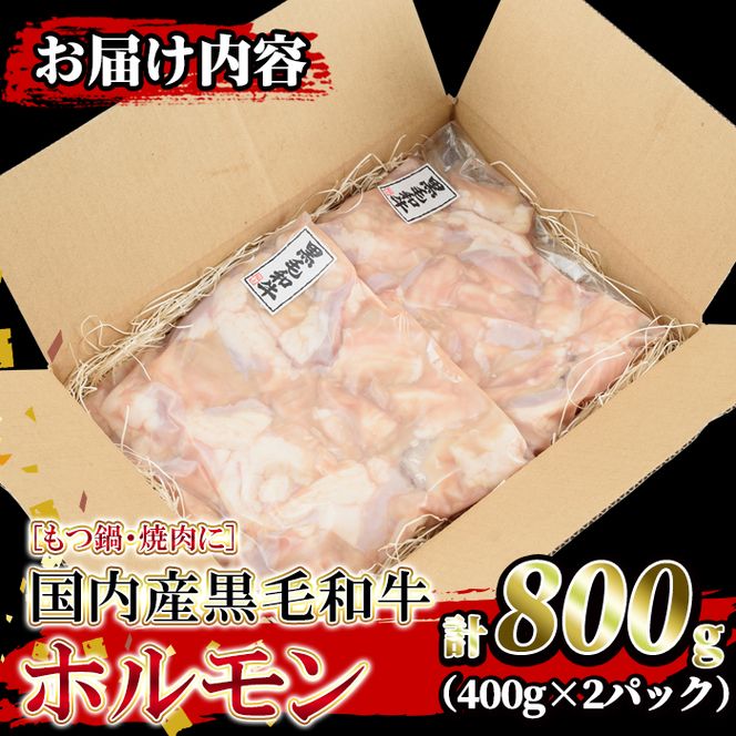 isa205 国内産黒毛和牛！ホルモン(計800g・400g×2P)大腸・小腸・赤センマイをミックス！小分け真空パックでお届け！もつ鍋・焼肉・煮込みに【堀ノ内商会】
