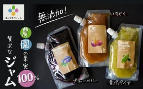 無添加 青パパイヤ・いちじく・ブルーベリーのジャム 3色セット H164-006
