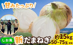 【先行予約】 しお風新たまねぎ 約15kg 先行予約《5月中旬-6月上旬頃出荷》 玉ねぎ 新たまねぎ 玉葱 たまねぎ 新玉 野菜 青果物 岡山県 笠岡市---kasaoka_zsy_141_15---