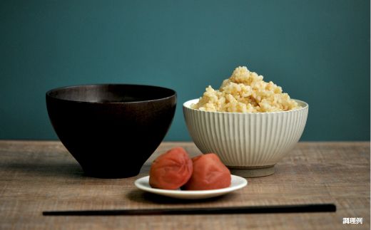 ＜令和7年度産＞「ななつぼし」玄米10kg《令和７年10月頃より発送予定》【3900402】