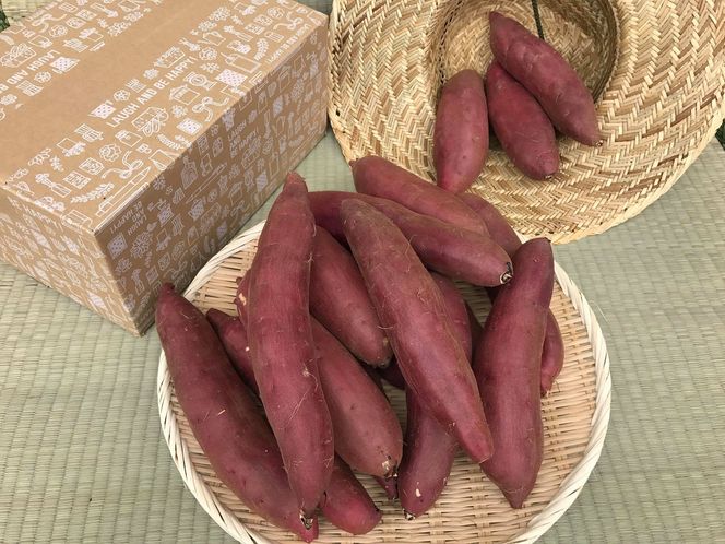 焼き芋好きのためのさつま芋　紅はるか10kg【茨城県共通返礼品・行方市産】（KBE-59）