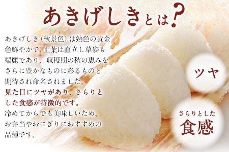 あきげしき 10kg 5kg×2袋 《3-7営業日以内に出荷予定(土日祝除く)》 白米 令和2年産 熊本県産 単一原料米 南阿蘇村 10000円 すぐ届く---mna_ag2_u_21_10000_10kg---