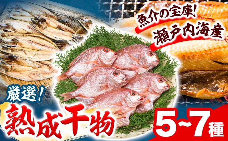 干物 ひもの 海鮮 熟成干物セット 5~7種 セット 笠岡魚市場[45日以内に出荷予定(土日祝除く)]岡山県 笠岡市 旬 魚 お魚---B-03---