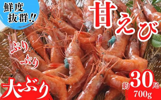 【甘えび えび 刺身用 約30尾（約700g）兵庫県香住産 冷凍 】鮮度抜群 大人気 ふるさと納税 送料無料 香美町 香住 柴山 刺身 唐揚げ 味噌汁 海鮮丼 山陰の赤い宝石 日本海で水揚げされた鮮度抜群の甘えびを水揚げ後、すぐに船内で急速冷凍した商品です。漁師が食べている新鮮な旨みをたっぷり味わってください。※発送目安:入金確認後、順次発送 丸近 19-11