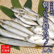 【12ヶ月定期便】大和海商の朝どれ鮮魚小魚パック 2.4kg N072-YG0119