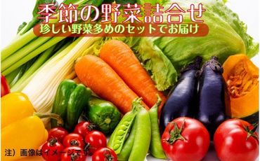 上田さんちの季節の珍野菜詰合せ_1878R