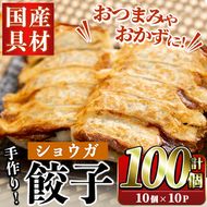 国産豚肉使用！手作りショウガ餃子(計100個・10個×10パック、たれ付き) 餃子 ぎょうざ ギョウザ ギョーザ しょうが 生姜 豚肉 おかず お惣菜【スーパーよしだ】a-12-114-z