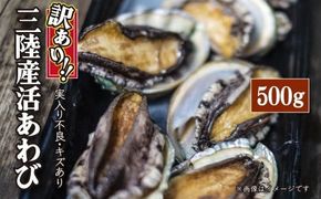 【訳あり】【配送日・曜日指定不可】【数量限定】三陸産 活アワビ 約500g(3～5個) 【0tsuchi00961】【08】