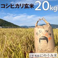 【令和6年産先行予約】米 コシヒカリ 玄米 20kg〈アグリにのうみ〉京都・亀岡産《令和6年産》 京都丹波産◇※北海道・沖縄・離島への配送不可※2024年10月中旬～11月中旬頃に順次発送予定