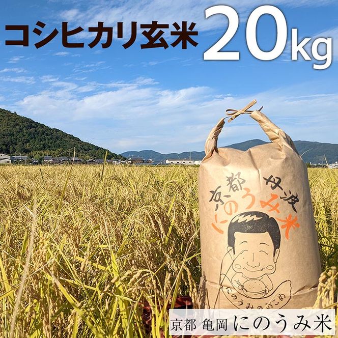 【令和7年産先行予約】米 コシヒカリ 玄米 20kg〈アグリにのうみ〉京都・亀岡産《令和7年産》 京都丹波産◇ ※北海道・沖縄・離島への配送不可 ※2025年10月中旬頃から順次発送予定