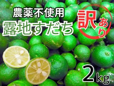 訳あり【Ｂ級】露地スダチ2kg　※2024年9月中旬頃から発送　※離島不可