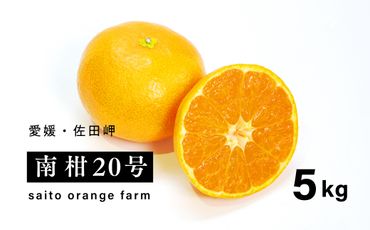 【先行予約】Saito Orange Farmの南柑20号5kg ｜ 温州みかん 代表 柑橘 みかん ミカン フルーツ 果物 愛媛　※離島への配送不可　※2024年12月下旬頃より順次発送予定