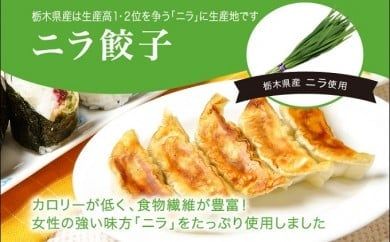 「宇都宮餃子館」ニラ餃子 960ｇ（４８個）≪ギョーザ 冷凍餃子 冷凍食品 グルメ 食品 惣菜 中華惣菜 点心 中華≫◇