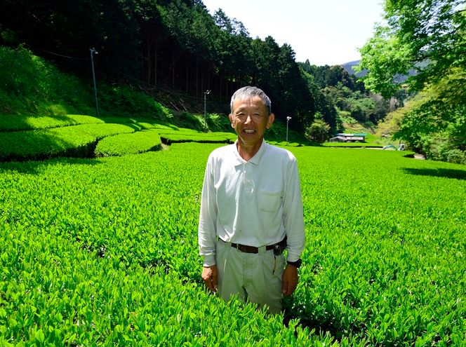 煎茶 ティーバッグ 30包 3袋 セット 有機農家 静岡県産 日本茶 お茶 静岡県 藤枝市 [  PT0052-000030 ]