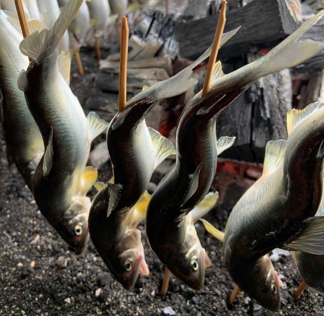 地下水育ち　炭火焼き鮎10尾入り