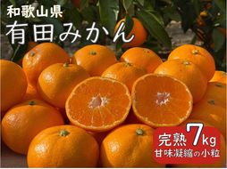 先行予約 和歌山県 有田みかん ひとくち 7kg 甘味凝縮 極小粒 産直43年 5代目 武内園 完熟蜜柑      BA04