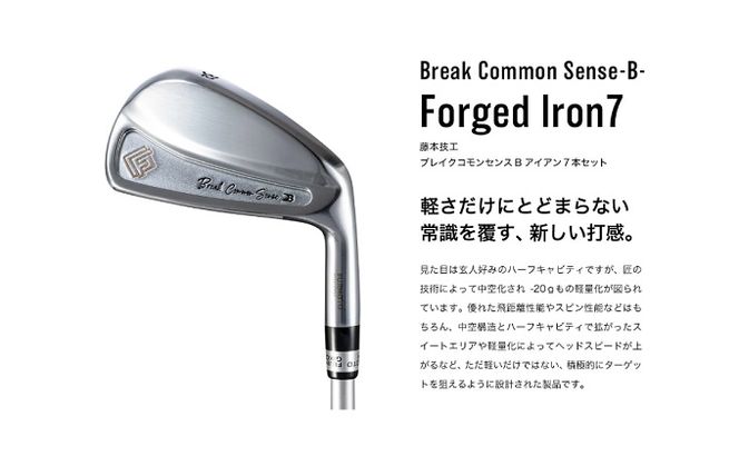 1200BE01N.Fujimoto_BCS iron(7set) 65