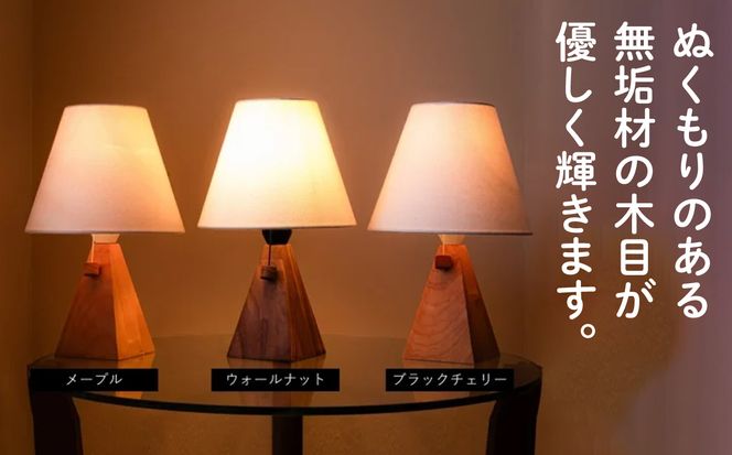 ソリッドランプ  aa024m00