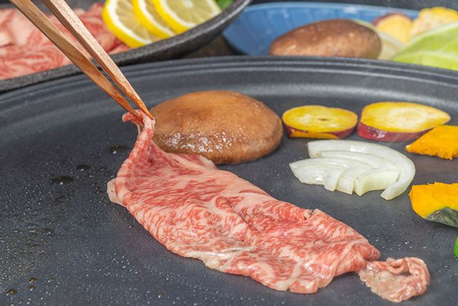 AE075島原の恵みをまとめてお届け！お手軽焼肉セット