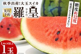 BH053【令和7年度出荷分】秋季出荷！大玉スイカ～羅皇（ラオウ）～（Lサイズ6kg以上×1玉入）[先行予約 数量限定 すいか スイカ 西瓜 フルーツ 果物 長崎 長崎県 島原市]