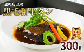 【洋食グリル肝付】自慢の鹿児島県産黒毛和牛タン　レトルトシチュー　K084-002