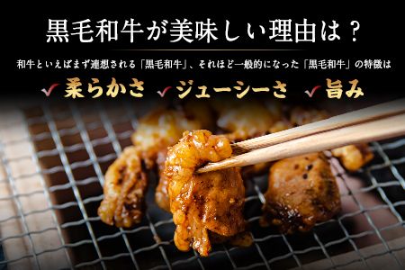 黒毛和牛ホルモン800g(200g×4袋) ブランド牛 有限会社トップルーフ《60日以内に出荷予定(土日祝除く)》---so_ftopkrhr_60d_21_25500_800g---