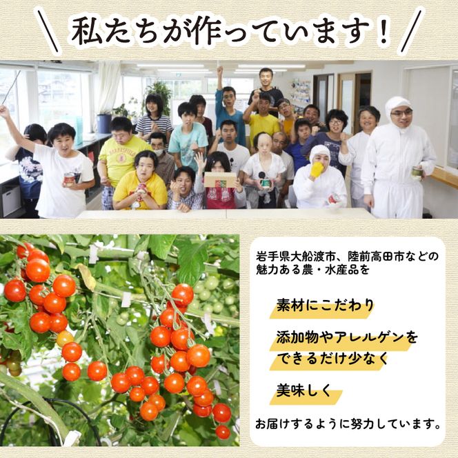 トマさんソース4種セット1.2kg（ミートソース、スパイシートマカレー、グリーンカレー、ほうれん草カレー）詰め合わせ トマト 野菜 おかず 魚介 おつまみ 保存食 防災 備蓄 非常食 さんま [56500352]