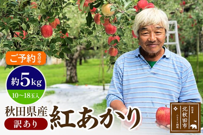 ＜先行予約＞りんご 紅あかり（訳あり）約5kg (10〜18玉入) 伊東さんの「伏影りんご」 令和6年産 秋田県産 個数限定 リンゴ マタギのりんご|itff-00005