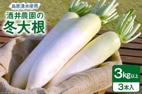 AG080 酒井農園の冬大根 3kg以上（3本入）