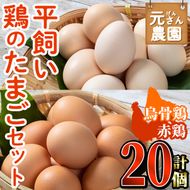 平飼い鶏のたまごセット (合計20個・烏骨鶏たまご10個・赤鶏たまご10個) 元さん農園 卵 玉子 卵かけご飯 玉子焼き 平飼い 鶏 鶏卵 養鶏場直送 朝採れ 新鮮 大分県 佐伯市 【GE004】【 (株)海九】