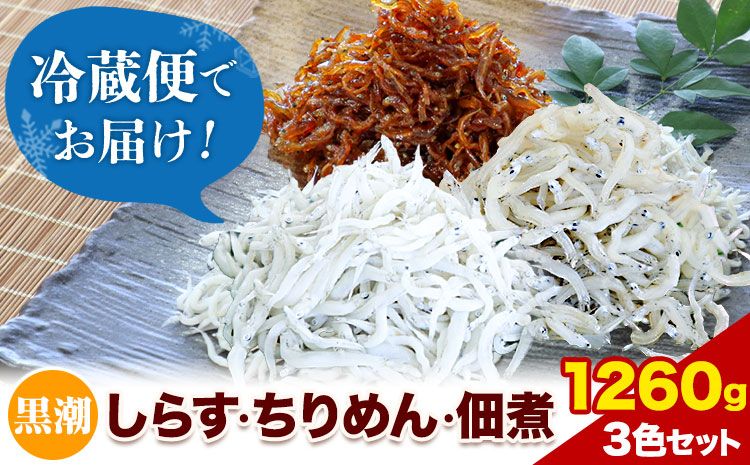 しらす ちりめん 佃煮 合計1260g 3色セット「黒潮」 kuroshio 大五海産[60日以内に出荷予定(土日祝除く)]和歌山県 日高町 しらす ちりめん 佃煮 セット ---wsh_cdig11_60d_23_23000_kuro---