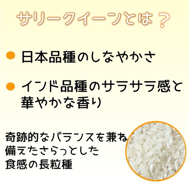 お米 サリークイーン 精米《 お米 精米 5キロ 安心 安全 バスマティ 日本晴 米 おこめ 国産 送料無料 ピラフ パエリア 》【2401B08406】