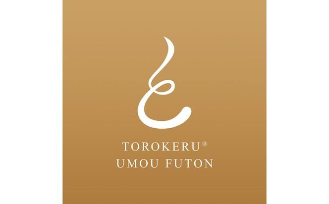 GS038とろける羽毛ふとん[クイーン]ふとん専用カバー／クリーム